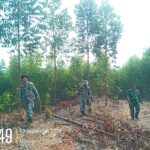 IMG-20260913-WA0013